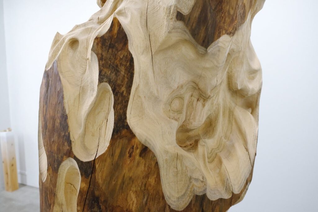 森靖「Twister」アート鑑賞レポート｜木材の持つ魅力を宿した彫刻作品