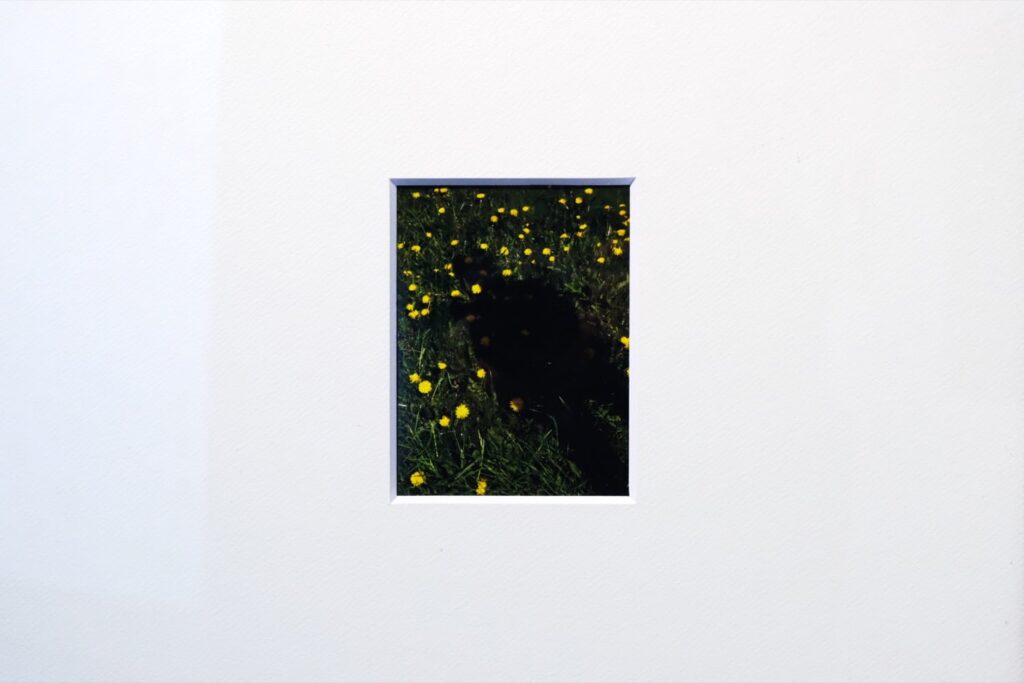 髙橋こうた個展「80°05′」｜写真の記録性が語る夢の継承と南極冒険の